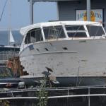 Monterey2016_0105 (April 29, 2016)